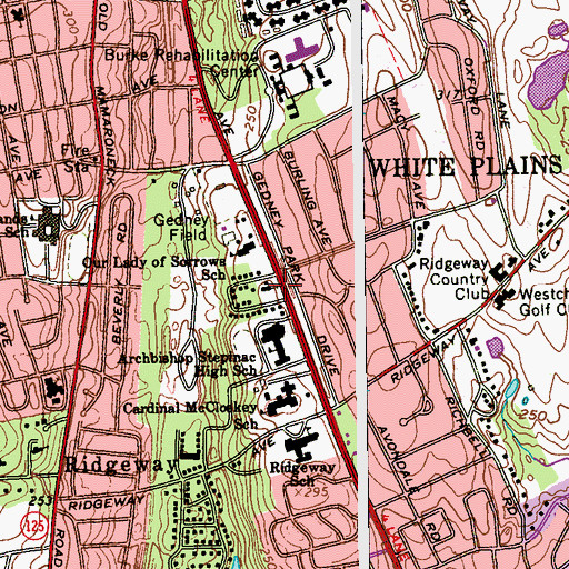 Topographic Map of Our Lady of Sorrows Church, NY