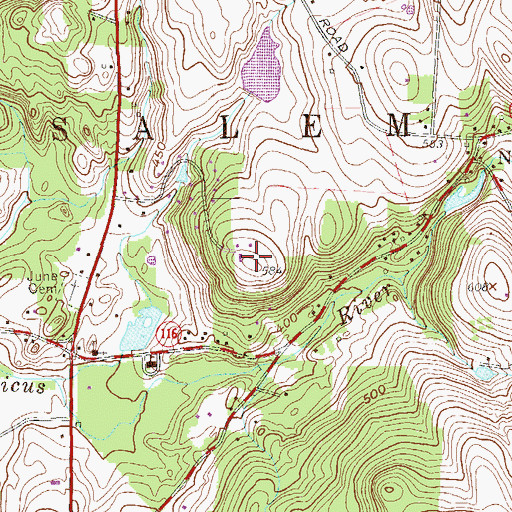 Topographic Map of Hammond Museum, NY