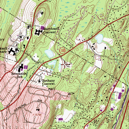 Topographic Map of Royall Pond, NY