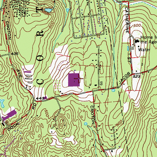 Topographic Map of Walter Panas High School, NY