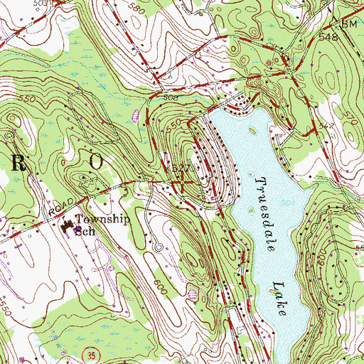 Topographic Map of Truesdale Lake, NY