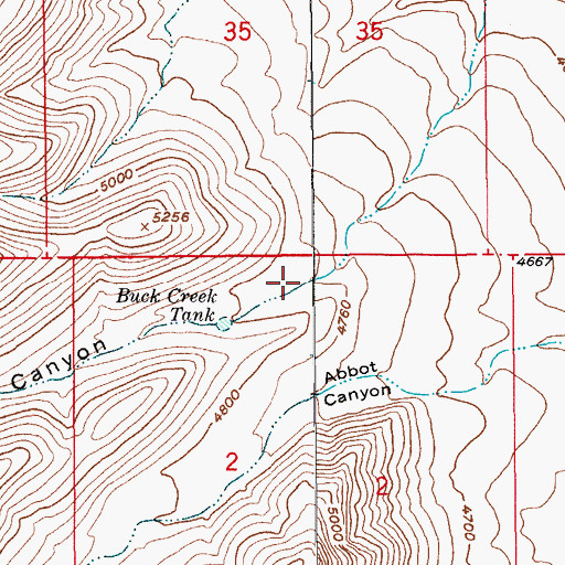 Topographic Map of Buck Canyon, AZ