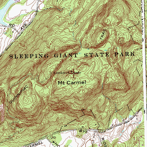 Topographic Map of Mount Carmel, CT