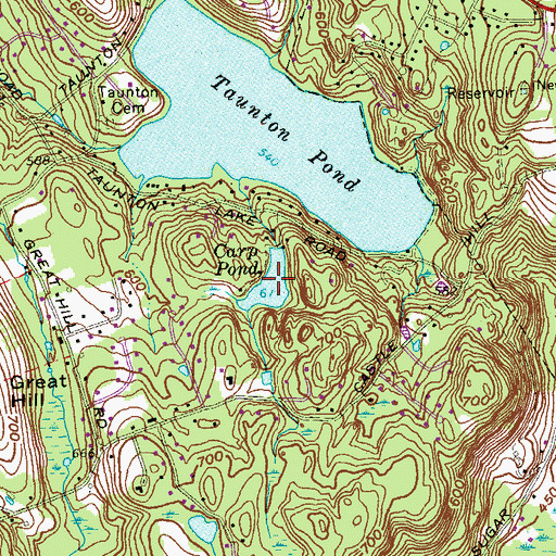 Topographic Map of Carp Pond, CT