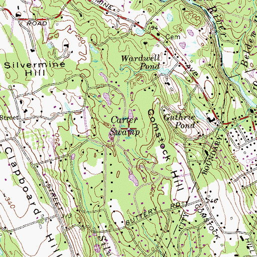 Topographic Map of Carter Swamp, CT