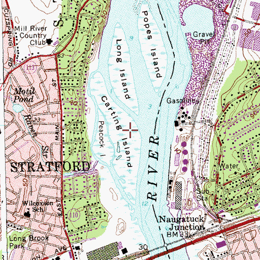 Topographic Map of Carting Island, CT