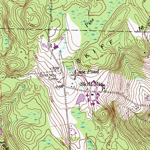 Topographic Map of Case Pond, CT