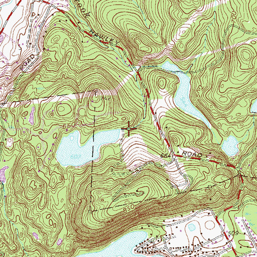 Topographic Map of Whatmores Lake, NY