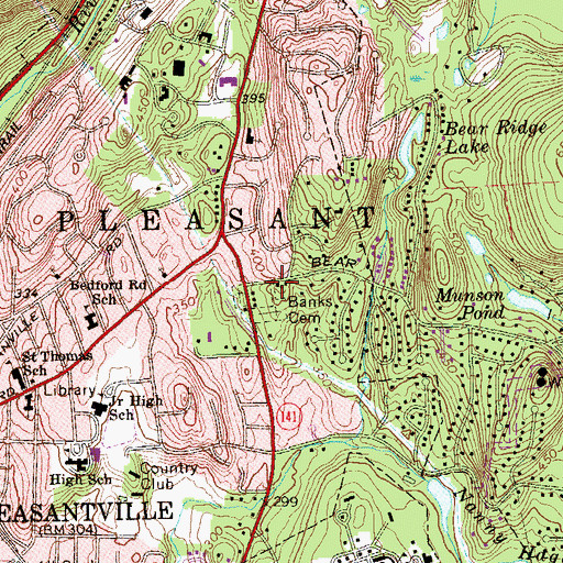 Topographic Map of Palmer Cemetery, NY