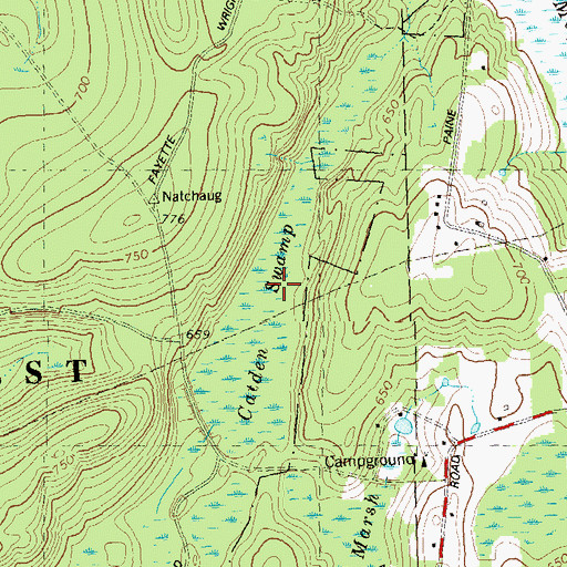 Topographic Map of Catden Swamp, CT