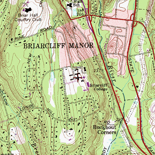 Topographic Map of Assumption School, NY