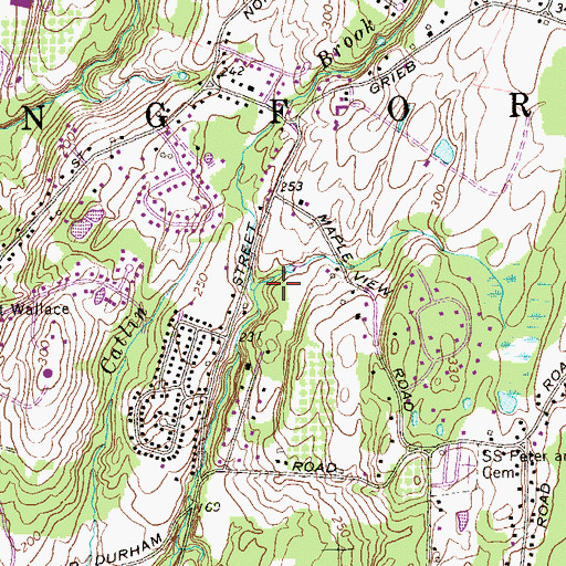 Topographic Map of Catlin Brook, CT
