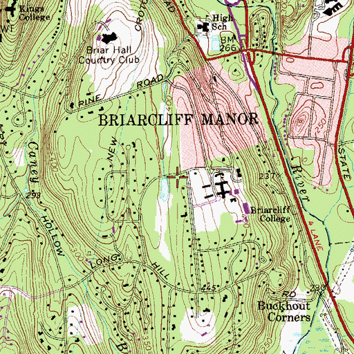 Topographic Map of Ice Pond, NY