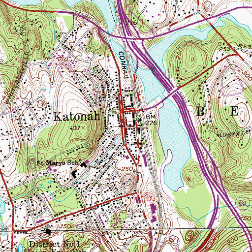 Topographic Map of First Presbyterian Church, NY