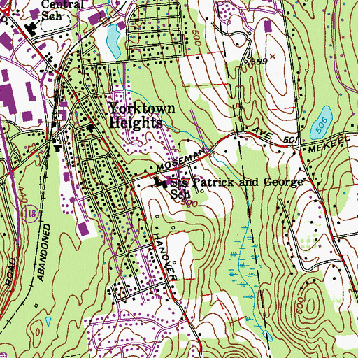 Topographic Map of Saint Patrick's Church, NY