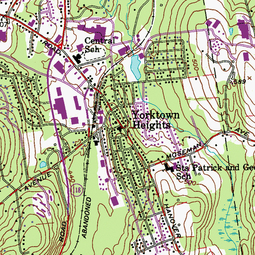 Topographic Map of Temple Beth Am, NY