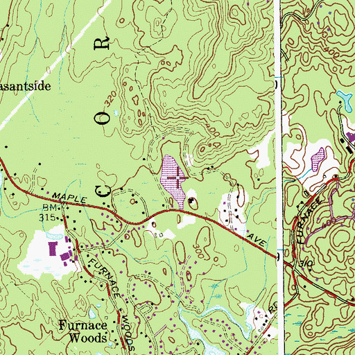 Topographic Map of Nelson Pond, NY