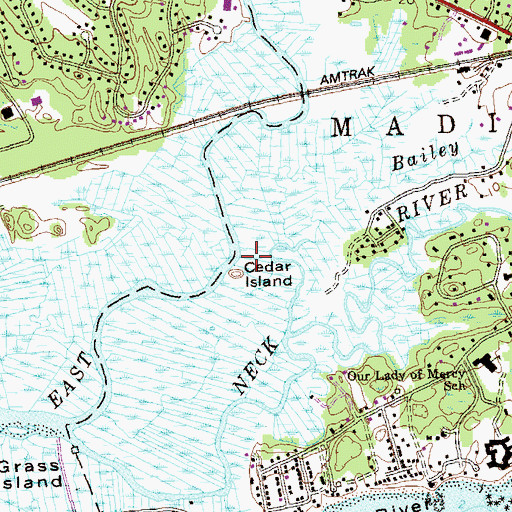 Topographic Map of Cedar Island, CT