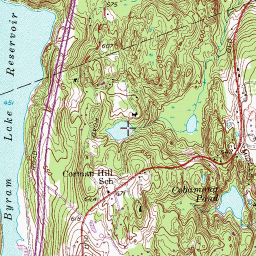 Topographic Map of Davis Pond, NY