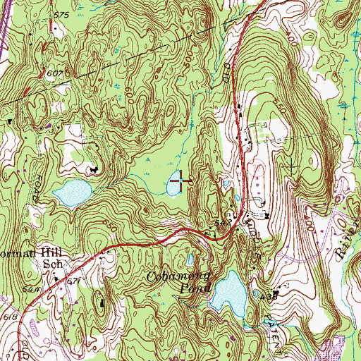 Topographic Map of Godeman Pond, NY
