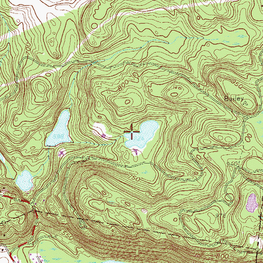 Topographic Map of Hemlock Lake, NY