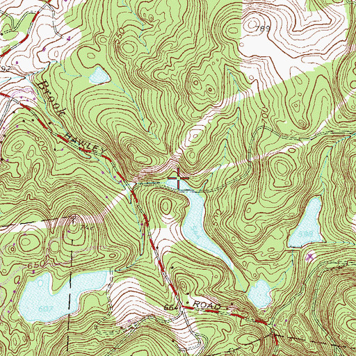 Topographic Map of Pine Lake, NY