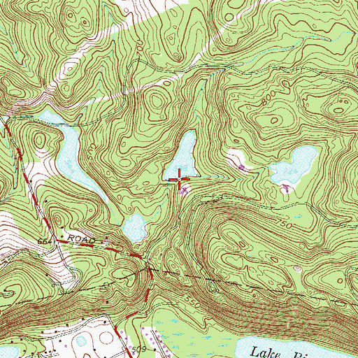 Topographic Map of Spruce Lake, NY