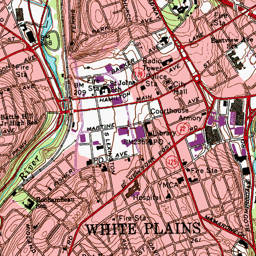 Topographic Map of White Plains Public Library, NY