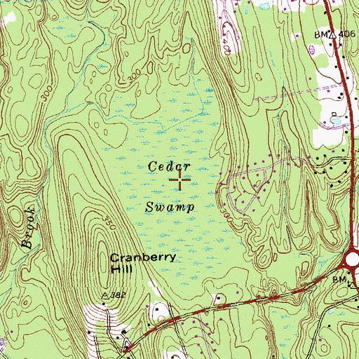 Topographic Map of Cedar Swamp, CT