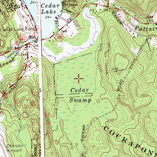 Topographic Map of Cedar Swamp, CT