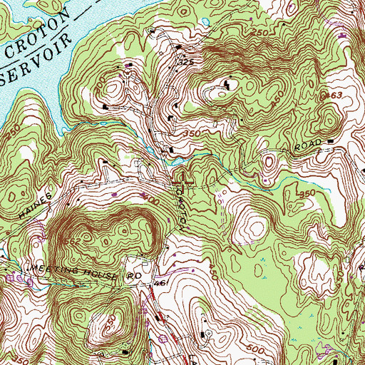 Topographic Map of Haines Corners, NY