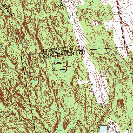 Topographic Map of Cedar Swamp, CT