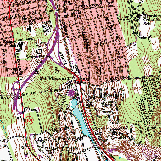 Topographic Map of Mount Pleasant Station, NY