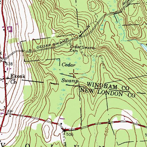 Topographic Map of Cedar Swamp, CT