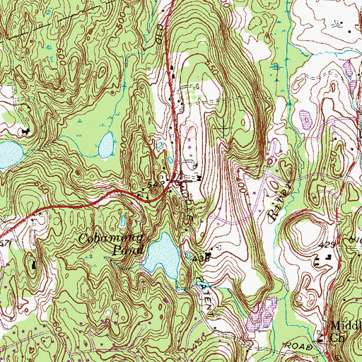 Topographic Map of Paynes Corners, NY
