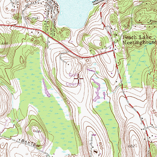 Topographic Map of Salem Golf Club, NY