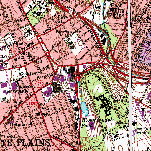 Topographic Map of Westchester Mall Shopping Center, NY
