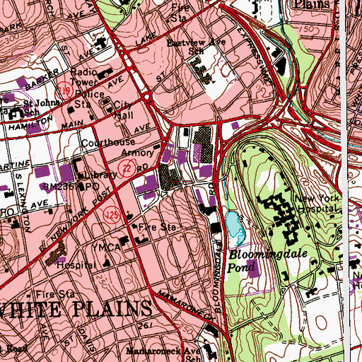 Topographic Map of Westchester Pavilion Mall Shopping Center, NY