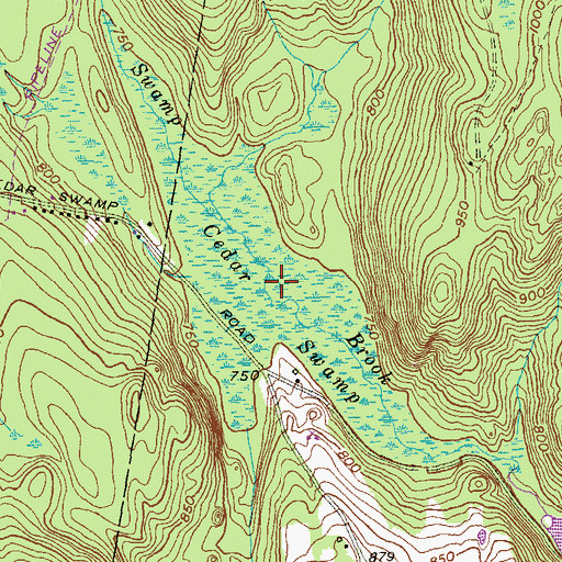 Topographic Map of Cedar Swamp, CT