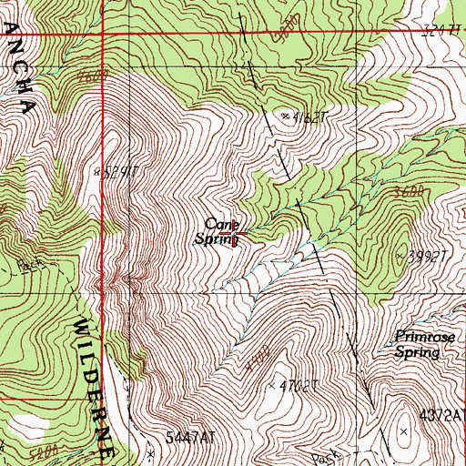 Topographic Map of Cane Spring, AZ