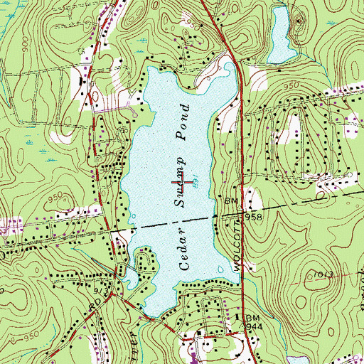 Topographic Map of Cedar Swamp Pond, CT
