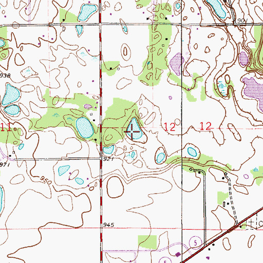 Topographic Map of Veronica Pond, MN