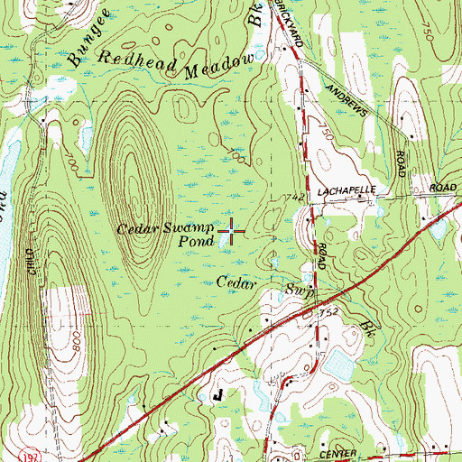 Topographic Map of Cedar Swamp Pond, CT
