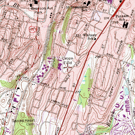 Topographic Map of Ceppa Field, CT