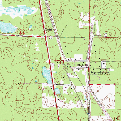 Topographic Map of Morriston Montbrook Volunteer Fire Department Station 1, FL