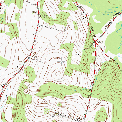 Topographic Map of Laurel Hill Cemetery, NY