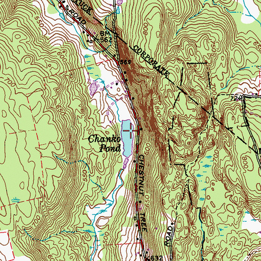 Topographic Map of Chanko Pond, CT
