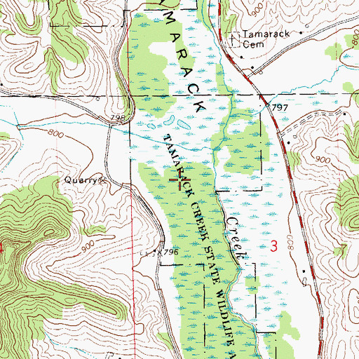 Topographic Map of Tamarack Creek Bog State Natural Area, WI