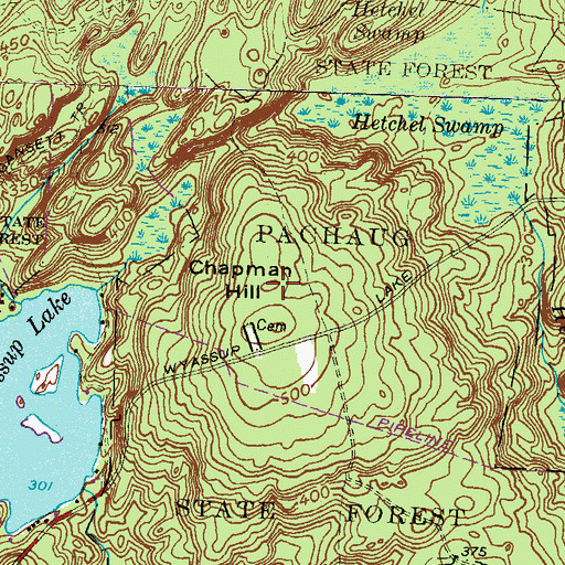 Topographic Map of Chapman Hill, CT