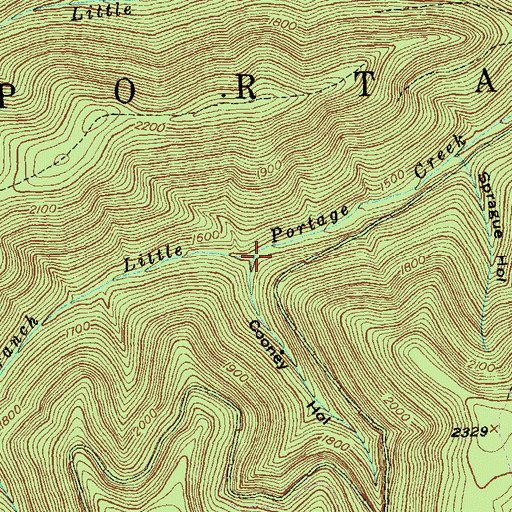 Topographic Map of Cooney Hollow, PA